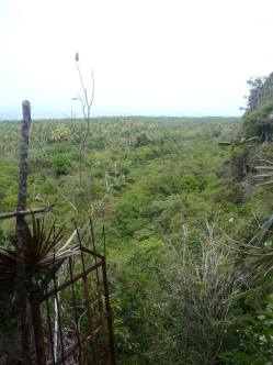 View over Baracoa jungle
