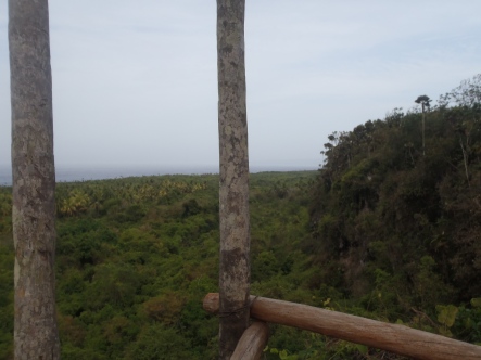 View over Baracoa jungle 2